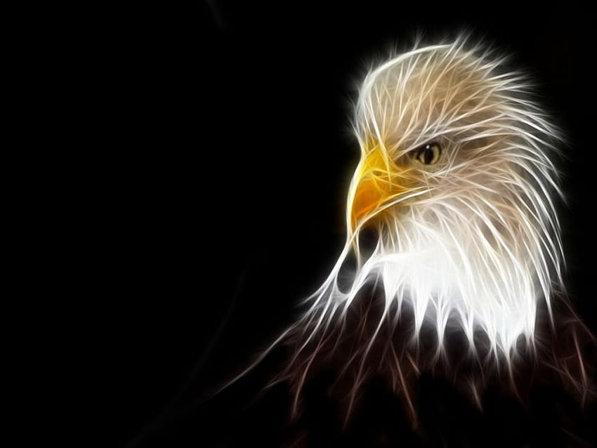 Águia pintando águia abstrata papel de parede HD
