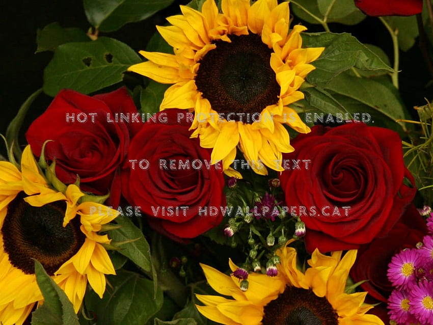 Sunflowers and Red Roses