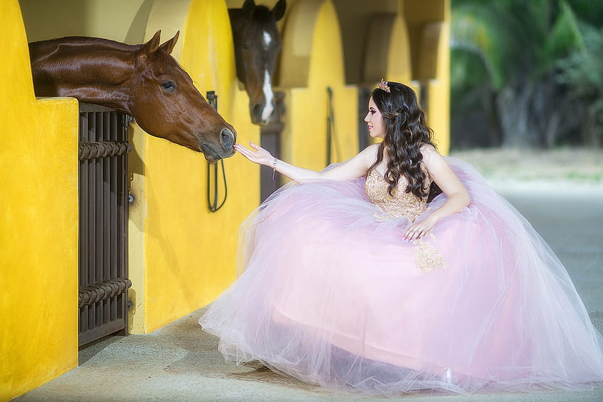 Bride, animal, horse, model, girl, dress, woman, pink, yellow HD wallpaper
