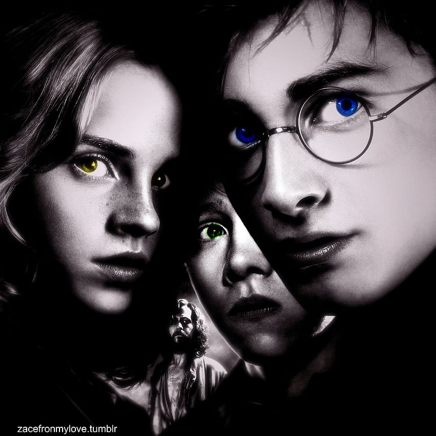 Хари Потър и затворникът от Азкабан - Златно трио и Сириус, Хари Потър черно и бяло HD тапет за телефон