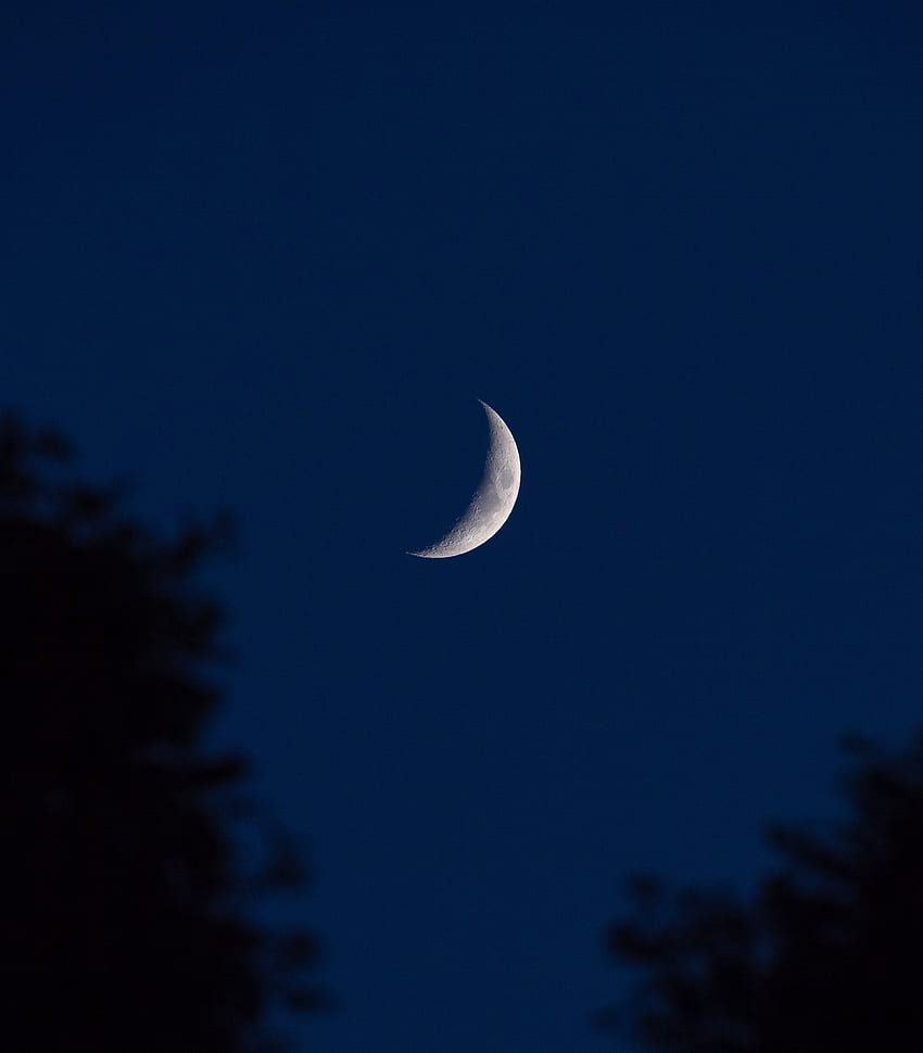 Moon, crescent, dark, night HD phone wallpaper