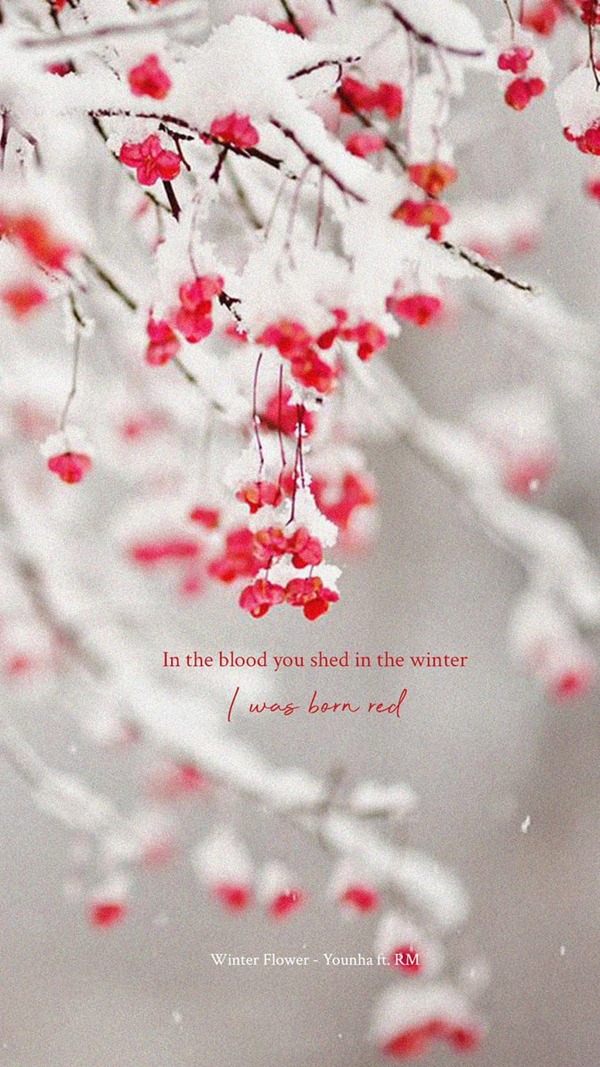 BTS Lyrics ⁷ - I was born red Winter Flower - Younha ft. RM (BTS) HD phone wallpaper