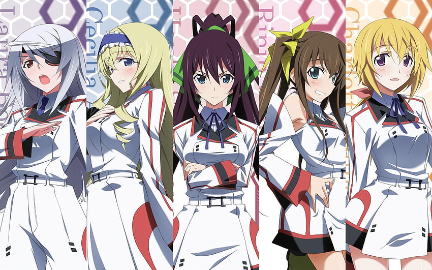 IS: Infinite Stratos 2 – 08 – Random Curiosity