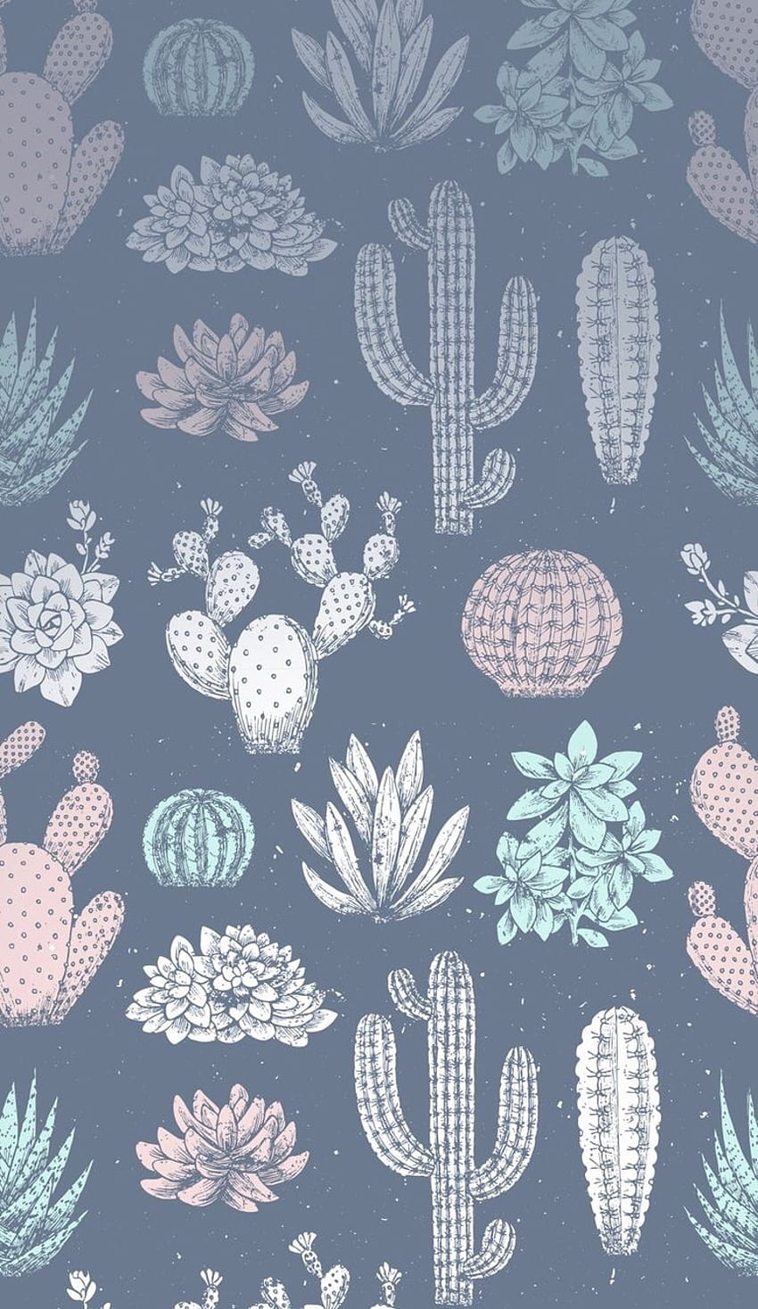 Cactus Wallpaper  Bold Alluring Cacti Design  Milton  King