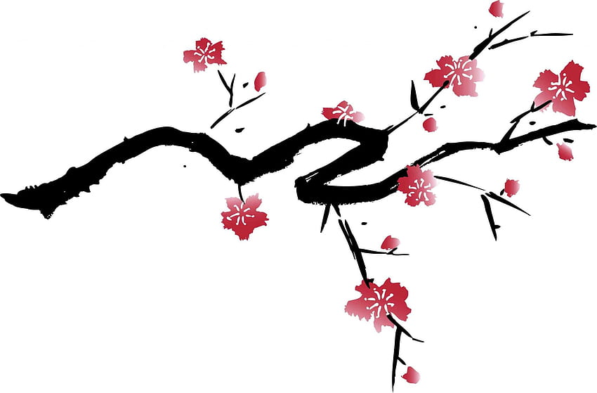 panorámica de alta resolución de flor de cerezo. Dibujo de flor de cerezo, cerezo japonés, flor de cerezo japonés, árbol de sakura japonés fondo de pantalla