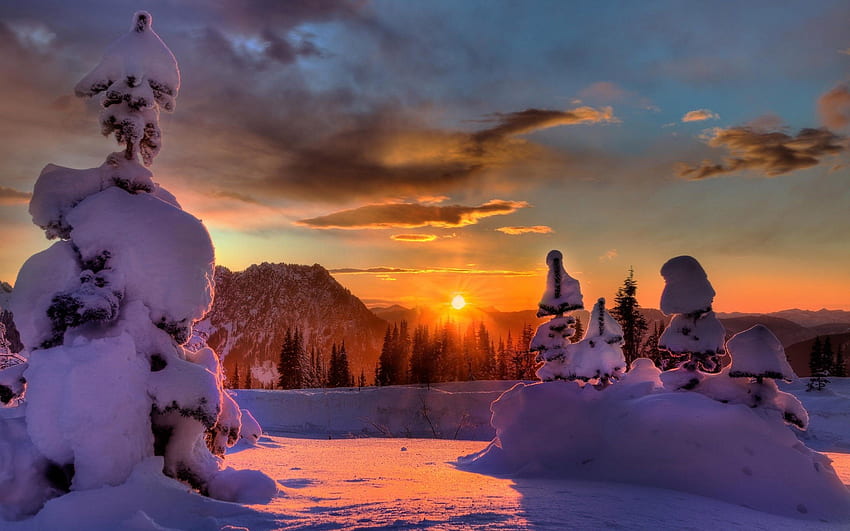 Sedikit Cahaya Terakhir - Area Surga, Taman Nasional Gunung Rainier, Washington, Surga Salju Wallpaper HD