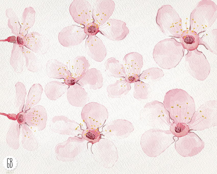 Suluboya kiraz çiçeği, kiraz ağacı, sakura, el boyaması bahar HD duvar kağıdı
