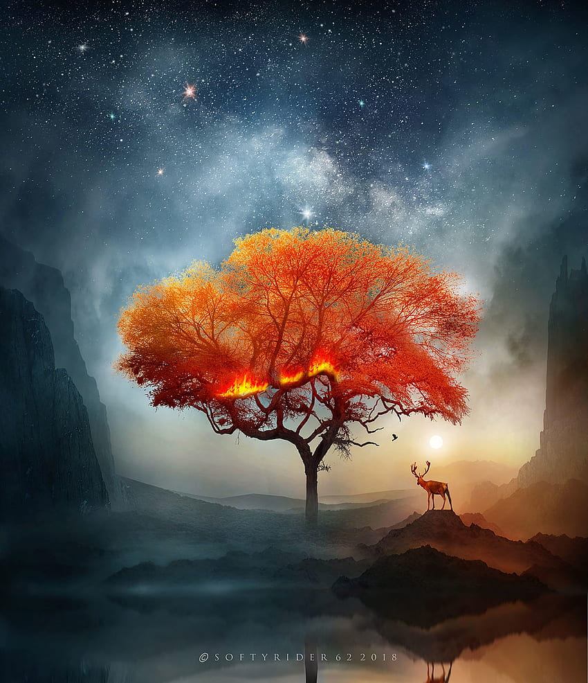 Art, Fire, Wood, Tree, Fantastic, Deer HD phone wallpaper