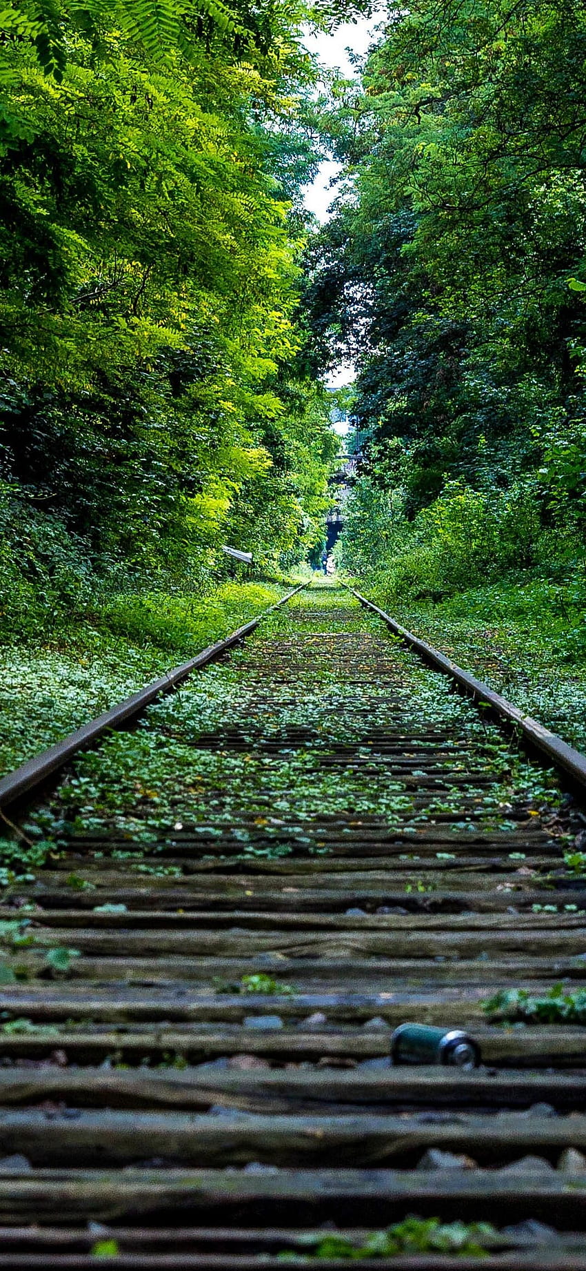 Railway Track In Forest Nature For Mobile - Phone Railroad - -, 1080x2340 Nature HD phone wallpaper