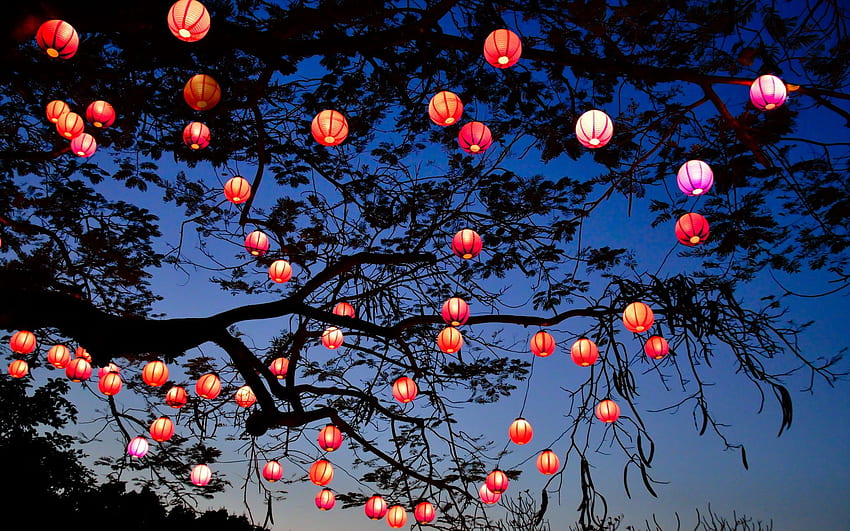Sky: Simply Beautiful Lanterns Light Sky Splendor Candle Night Tree, Water Sky Lantern HD wallpaper