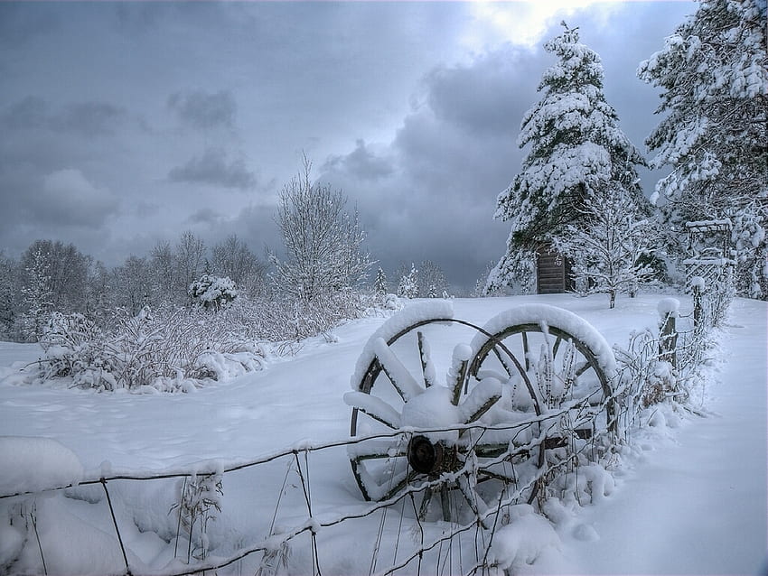 Campo Inverno, neve, cerca, paisagem, árvores, rodas papel de parede HD