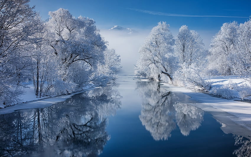 Winter River, trees, winter, river, hoarfrost, calm HD wallpaper