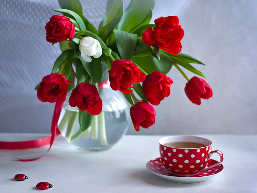 Still life, tea, vase, beautiful, tulips, cup, nice, delicate, pretty, red, coffee, flowers, lovely, harmony HD wallpaper