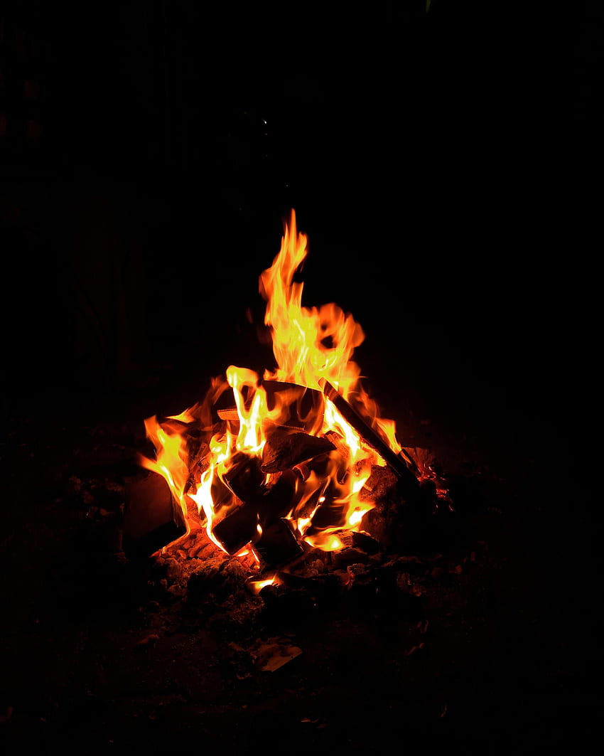Fire, Bonfire, Flame HD phone wallpaper | Pxfuel