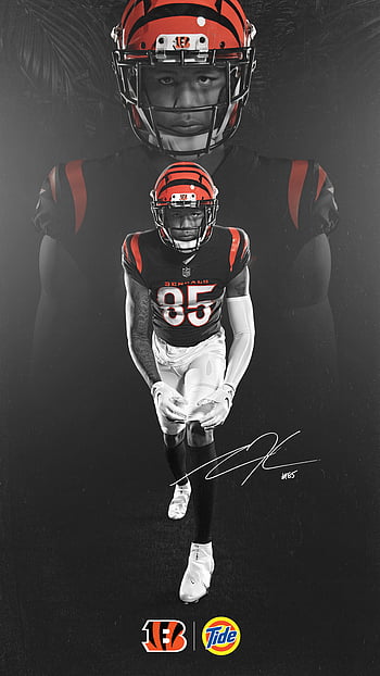 Cincinnati Bengals Fans  Cool Football Player HD phone wallpaper  Pxfuel