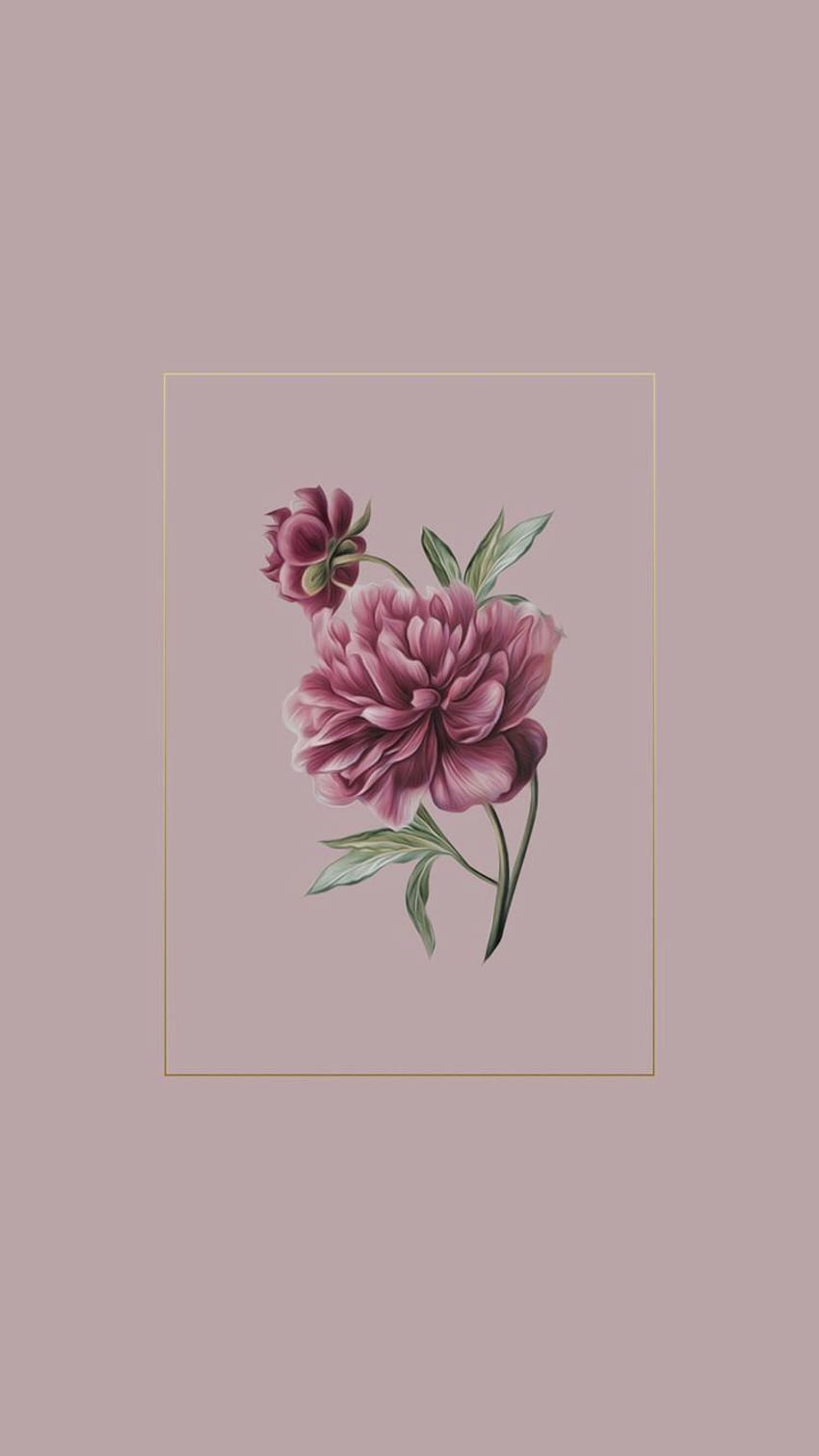Floral Background Aesthetic, Pink Aesthetic Tumblr HD phone wallpaper