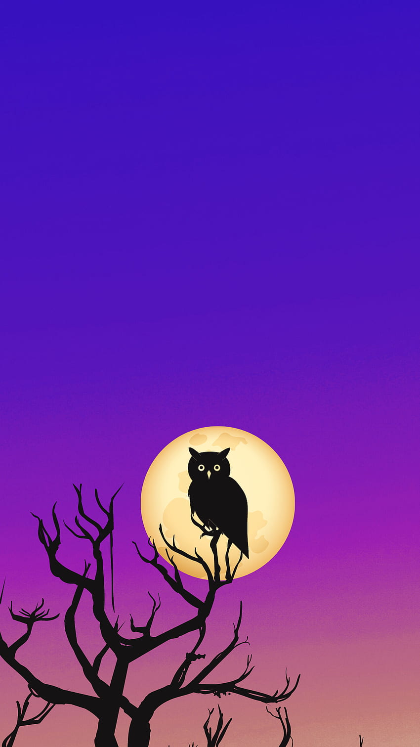 OWL 月、空、Nacht、eule、night、Vollmond、full_moon、purple、himmel、mond HD電話の壁紙