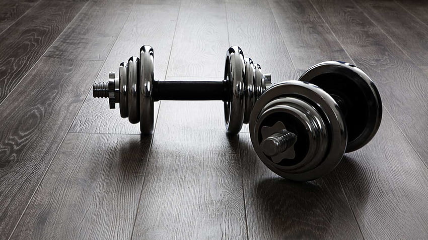 dumbbell , weights, exercise equipment, dumbbell, weightlifting, physical fitness HD wallpaper