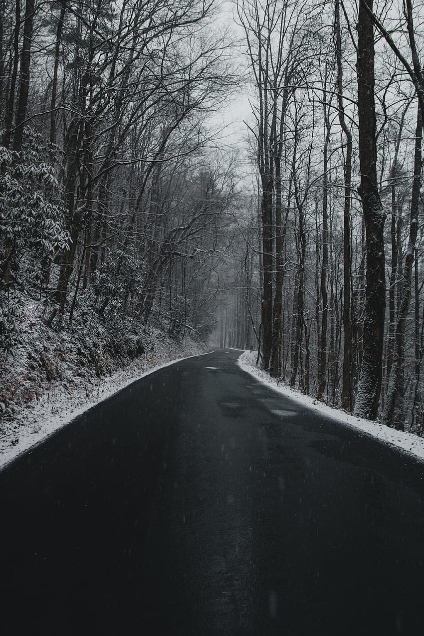 自然, 木, 雪, 道路, ターン, 主に曇り, どんよりした HD電話の壁紙