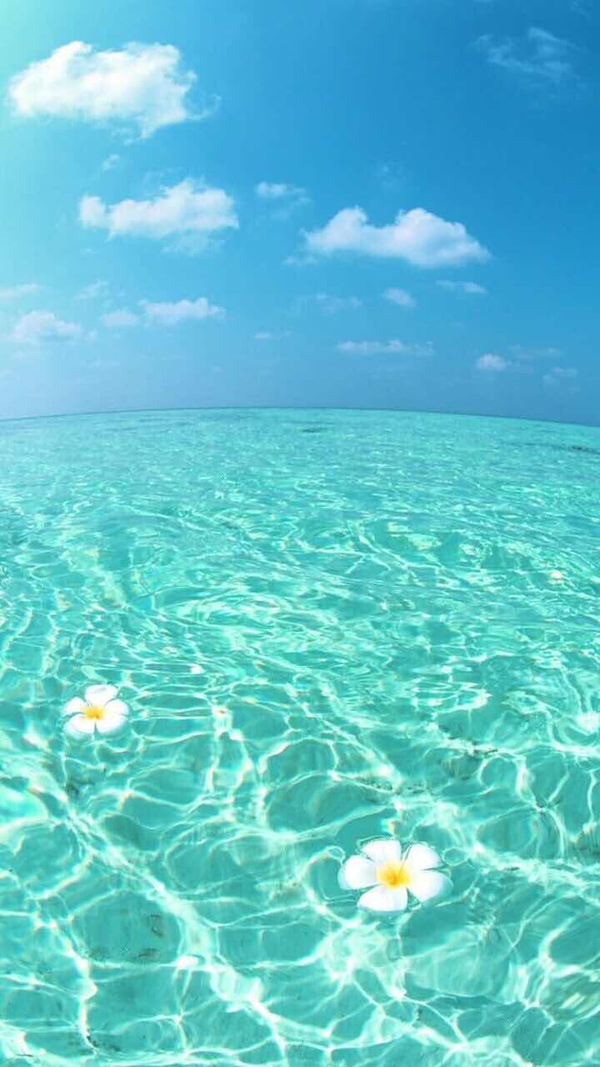 Pastel Ocean, Cute Ocean HD phone wallpaper | Pxfuel