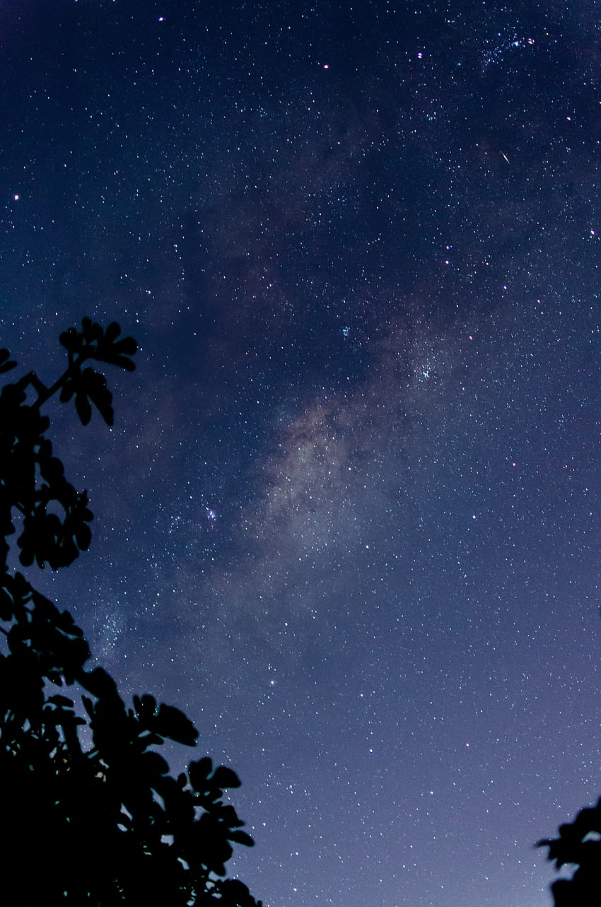 明るい暗い星座と天の川と背景 HD電話の壁紙