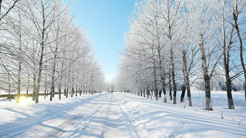 Landscape, Winter, Roads HD wallpaper | Pxfuel