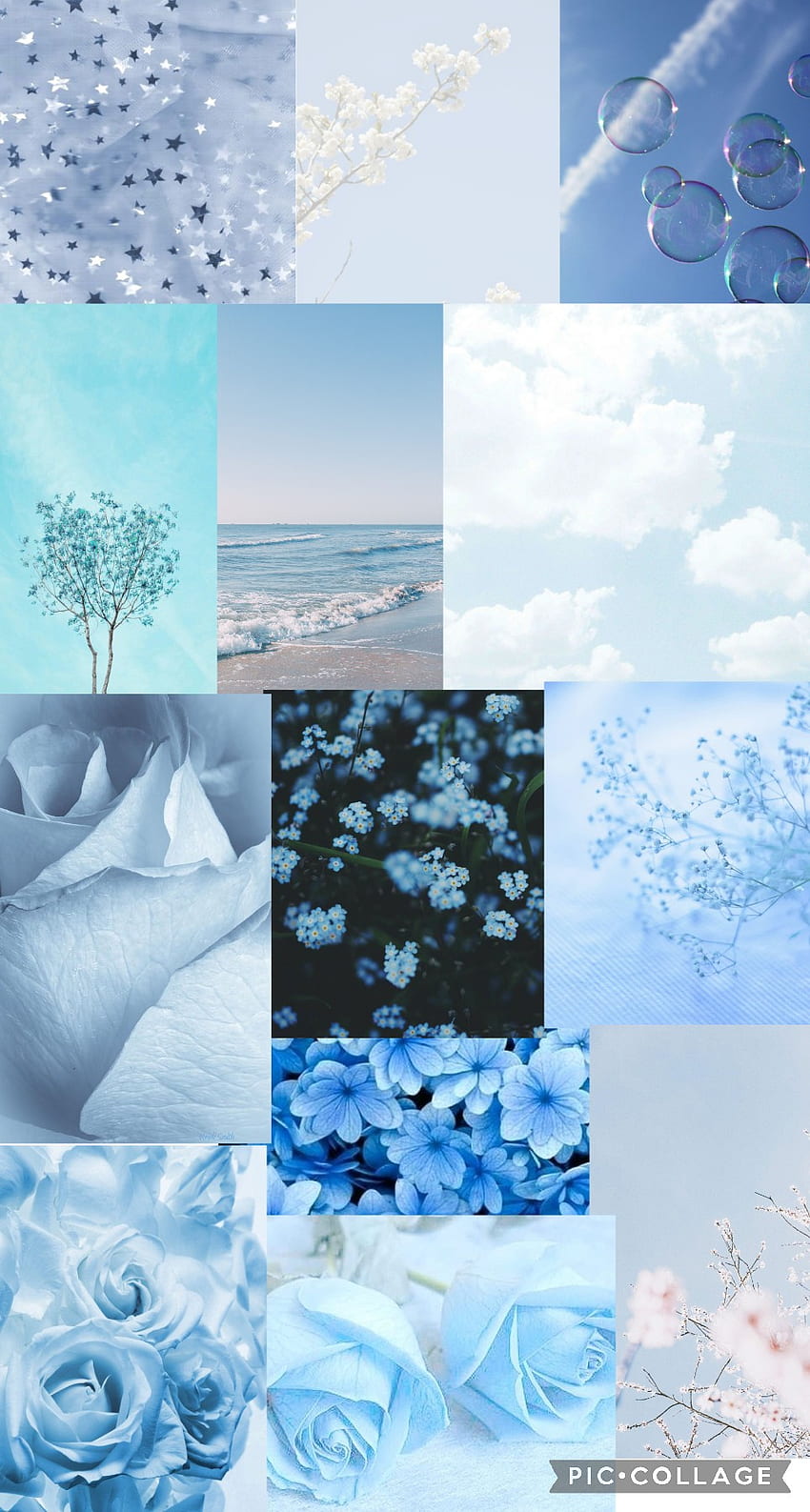 Aesthetic light blue flower HD wallpapers | Pxfuel