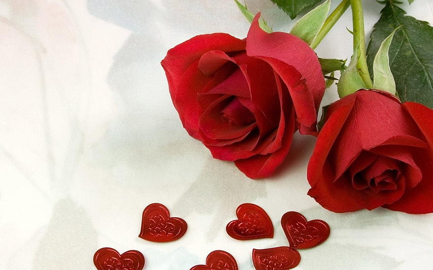 Rosen und Herzen, Rosen, Liebe, Herzen, Blumen, Schönheit HD-Hintergrundbild