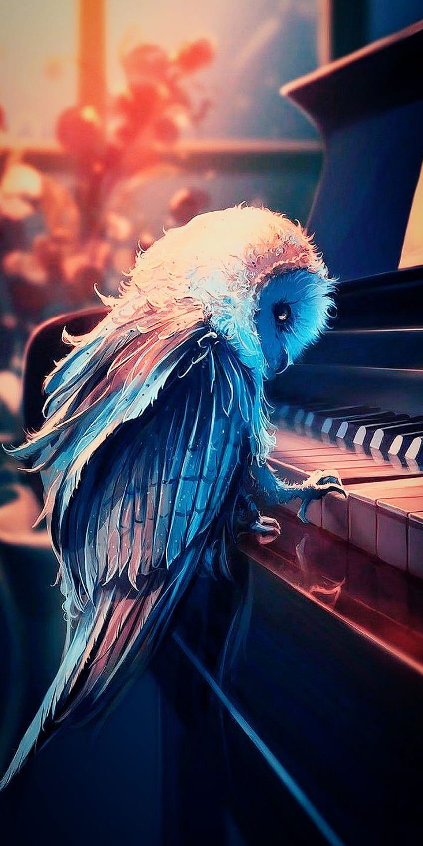 Owl Piano, electric blue, feather HD phone wallpaper