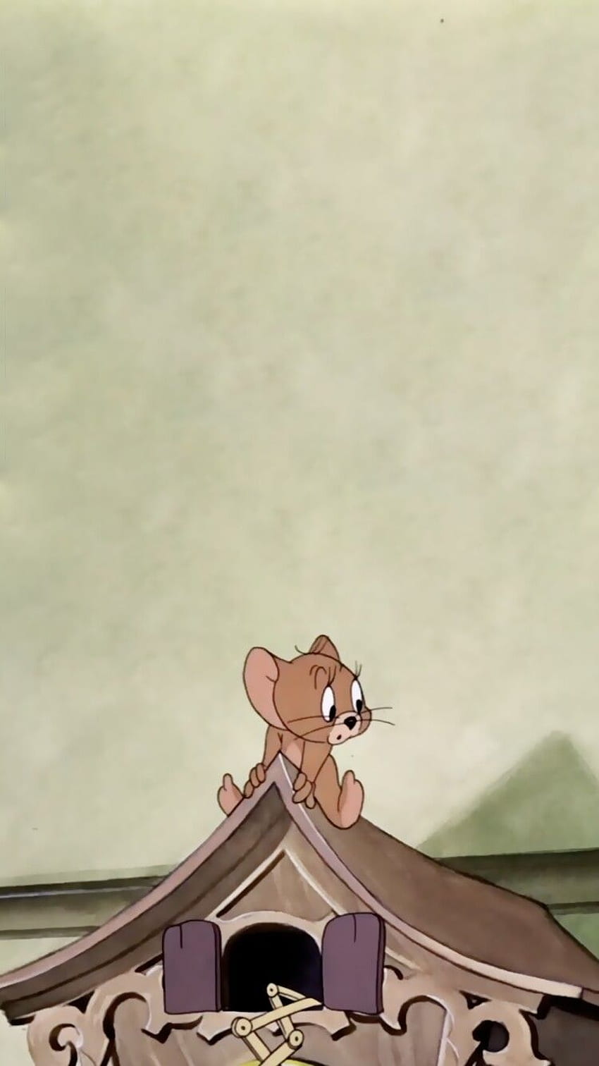 [çizgi film] tom & jerry'de Guàn Jié. Sevimli çizgi film, Tom ve Jerry Estetiği HD telefon duvar kağıdı