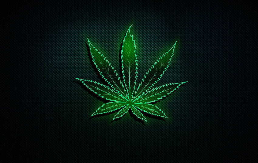 Ein neongrünes Topfblatt, Neonkraut HD-Hintergrundbild