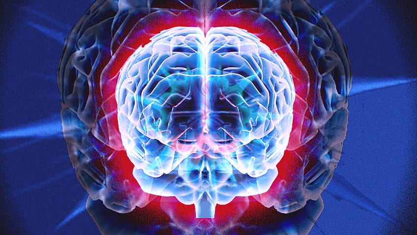 cerebro humano, cerebro azul fondo de pantalla
