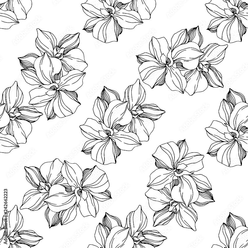 Vector Orchid flower. Black and white ngraved ink art. Seamless background pattern. Fabric print texture. Stock Vector HD phone wallpaper