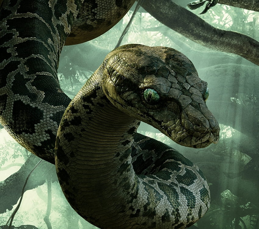 The Jungle Book (2016), snake, animal, kaa, boa, disney, movie, serpent, reptile, the jungle book HD wallpaper