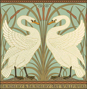 Walter Crane Swan, Rush And Iris Art Nouveau HD phone wallpaper | Pxfuel