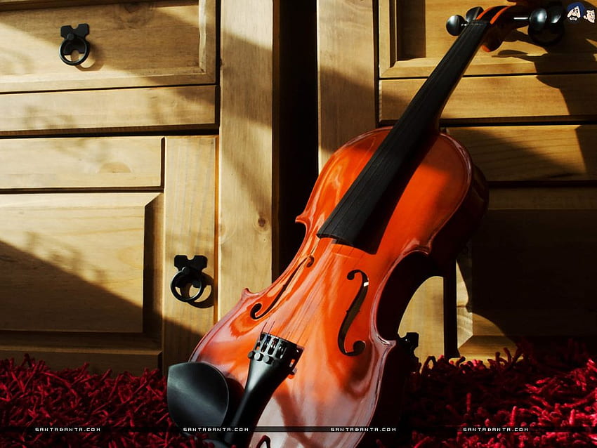 A Violin standing by the trunk of a tree, Double Bass HD wallpaper