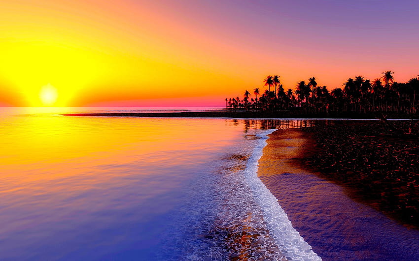 ทะเล พระอาทิตย์ตก ธรรมชาติ ชายหาด ทราย ปาล์ม เขตร้อน วอลล์เปเปอร์ HD