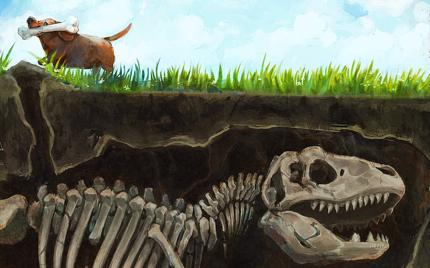 Pintura de esqueleto de dinossauro, obras de arte, dinossauros, cachorro, ossos papel de parede HD