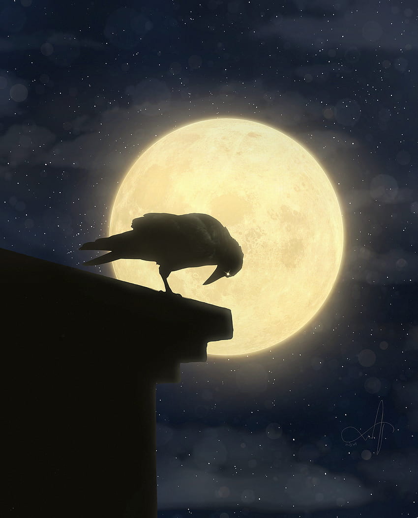 alma de cuervo, atmósfera, cielo, luna llena, luna, cuervos, luz, noche, negro, silueta fondo de pantalla del teléfono