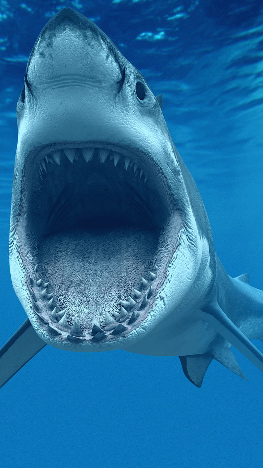 Großer Weißer Hai Galaxy S5 (). Weiße Haie, Haifischen, Hai, Hai-Breaching HD-Handy-Hintergrundbild