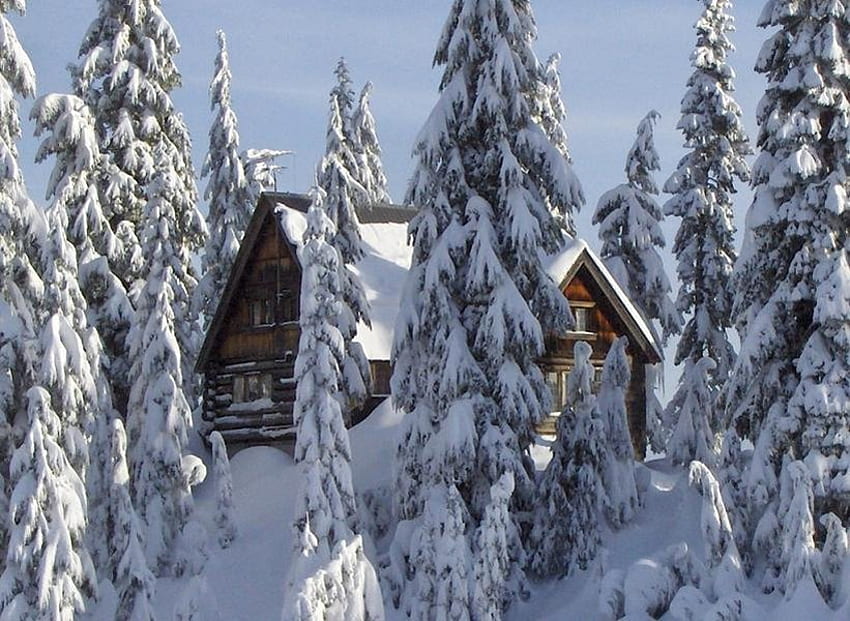 Зимна кабина, зима, природа, сняг, кабина HD тапет