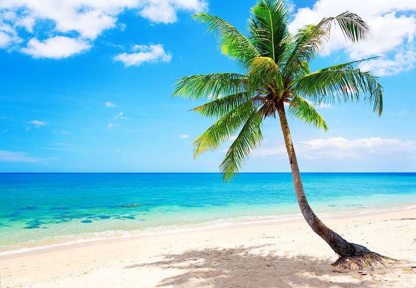 Тропически плаж. Summer hintergrundbild, Hintergrund, bilder, Тропически плажове HD тапет