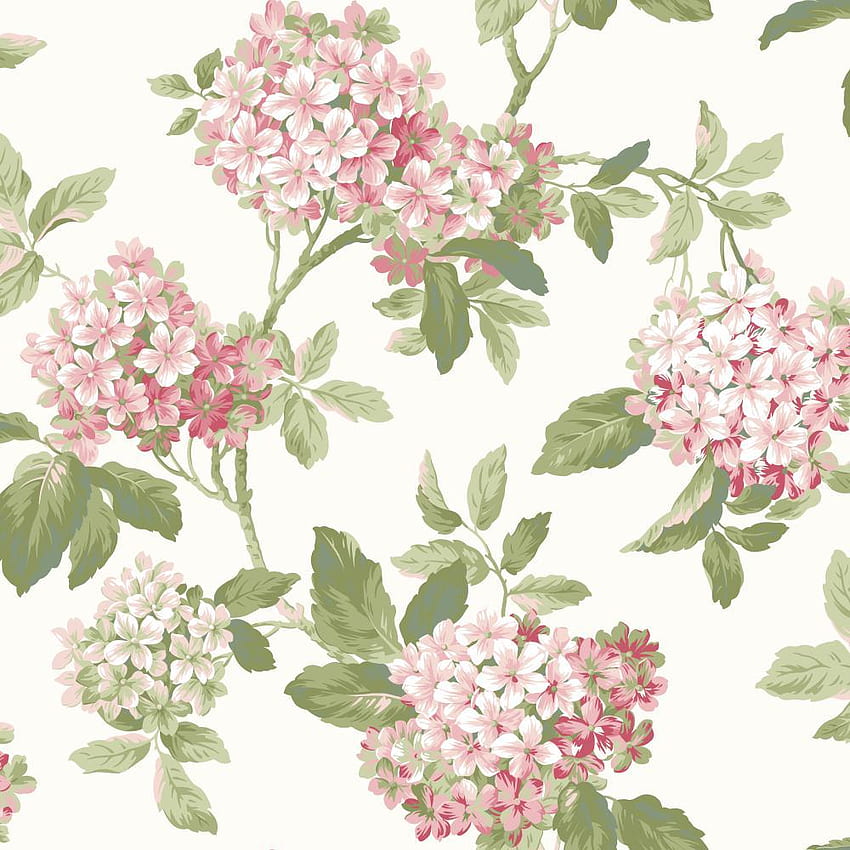 Hortensie für Wände, rosa Hortensie HD-Handy-Hintergrundbild
