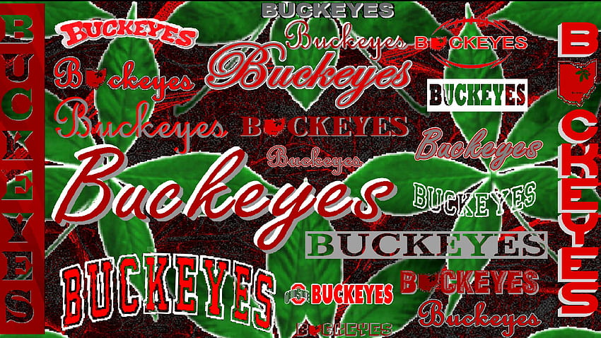 OSU BUCKEYES, buckeyes, 오하이오, 주, 미식축구 HD 월페이퍼