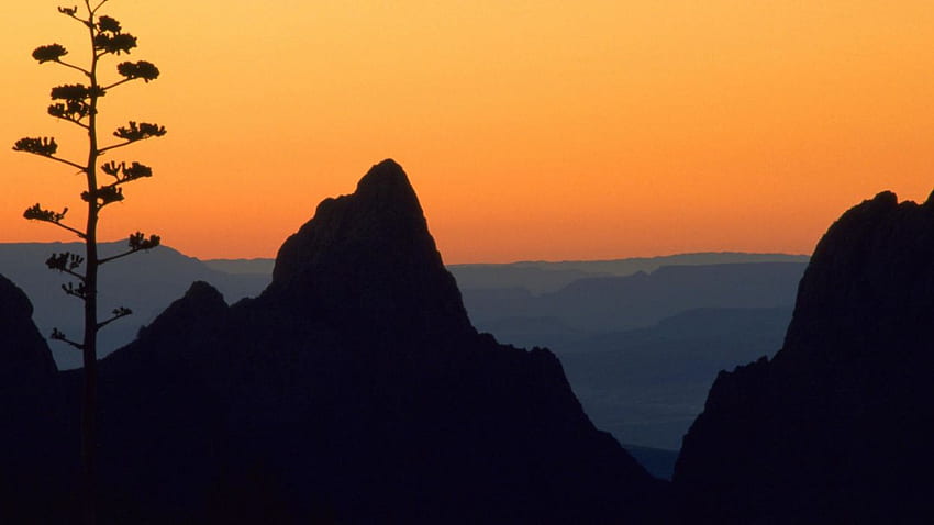 日没の風景自然ウィンドウ テキサス国立公園。 . 226422 高画質の壁紙