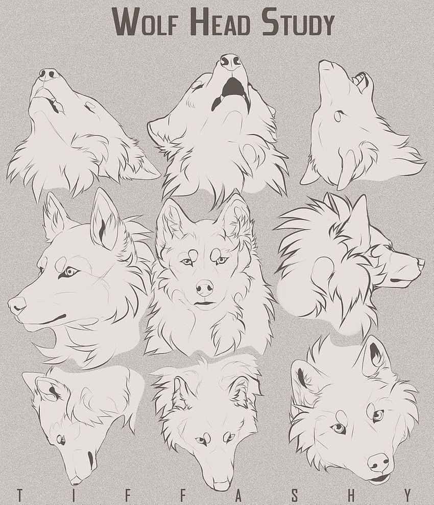 Wolf Head Line Art Grapic Animal Drawing' Sticker | Spreadshirt