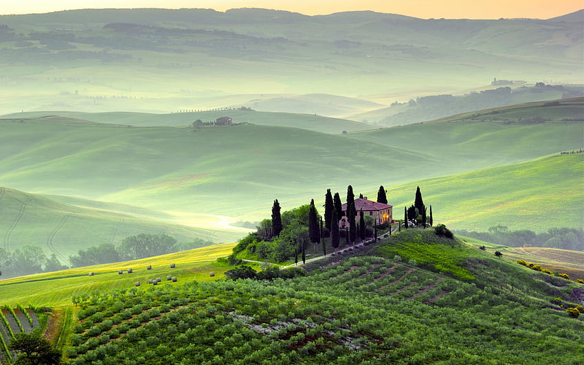 vineyard , background, Italy Vineyard HD wallpaper