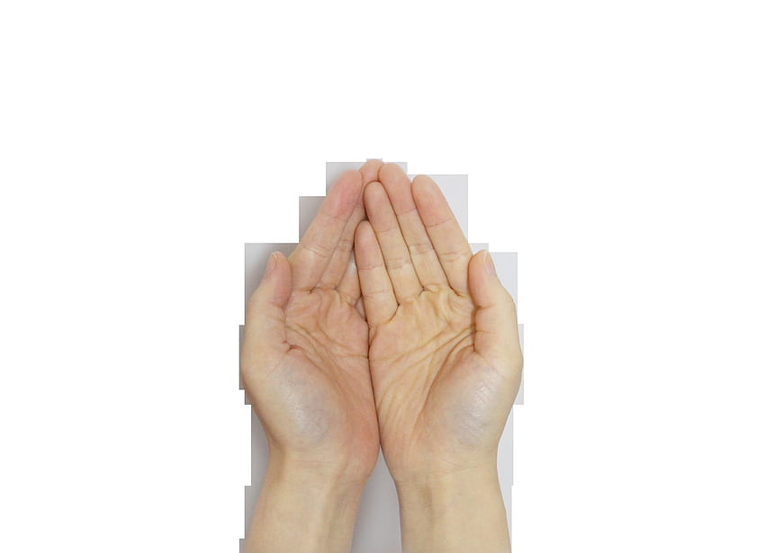 기도하는 손 PNG, 축복의 손 HD 월페이퍼
