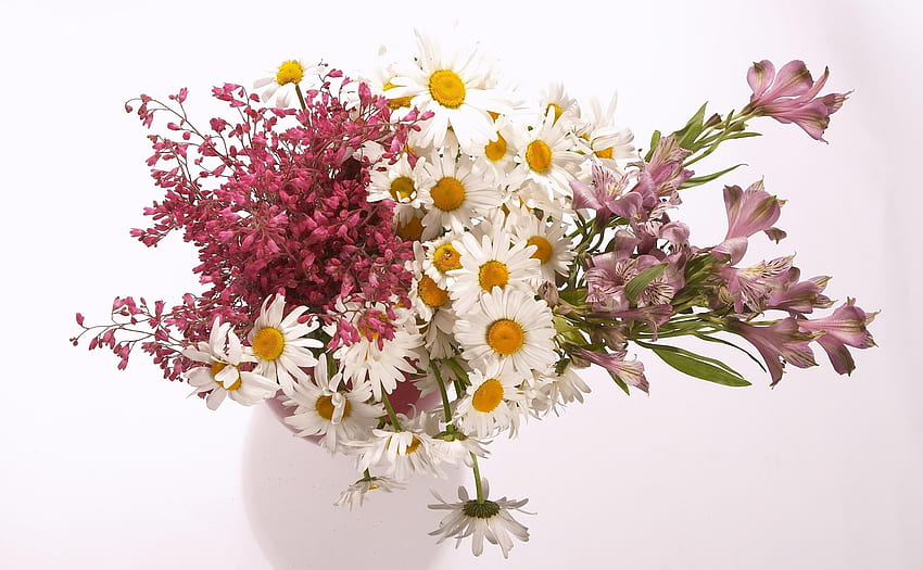 flores, manzanilla, alstroemeria, ramo, florero, composición fondo de pantalla