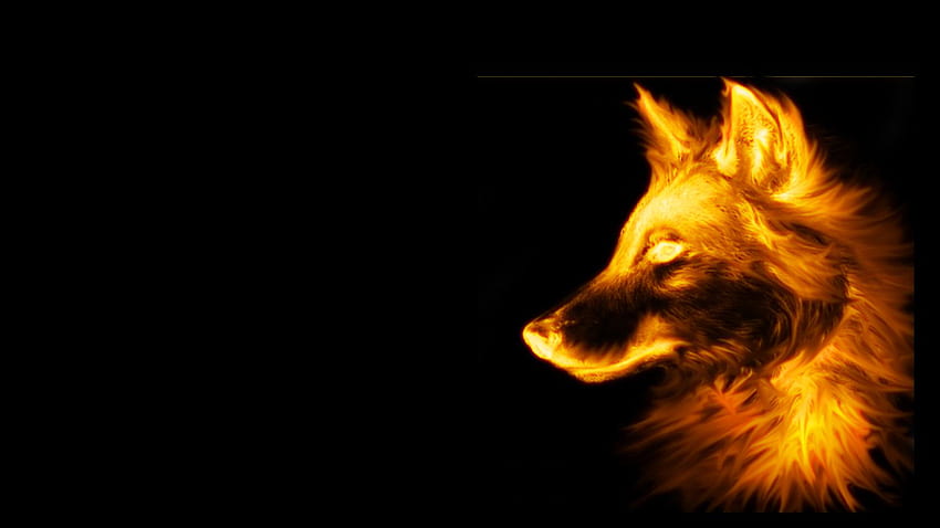 3D Fox - Fire Wolf Black Background - - teahub.io, Black and Red Fox HD wallpaper